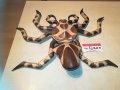 паяк с 6 крака 1104210755, снимка 7