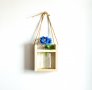 Бутилкова декоративна ваза за горски цветя, снимка 2
