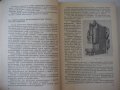 Книга "Кузнечно-штамповочное оборуд.Прессы-Л.Живов"-456 стр., снимка 5