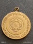 Медал от соца НАУЧНОТЕХНИЧЕСКО ТВОРЧЕСТВО НА ТРУДЕЩИТЕ СЕ 15287, снимка 1