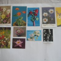 Пощенски картички с цветя и животни., снимка 5 - Колекции - 43512265