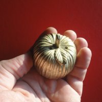 Уникална бронзова солница пиперница ябълка , снимка 1 - Други - 43524936