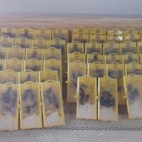 Биологични пчелни майки и отводки от лицензиран производител сезон 2024., снимка 6 - Други - 28196262