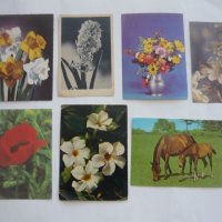 Пощенски картички с цветя и животни., снимка 7 - Колекции - 43512265