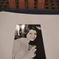 Картичка/снимка италианскта актриса София Лорен, снимка 1 - Колекции - 40394491