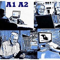 Английски език онлайн обучение за възрастни А1 А2, снимка 1 - Уроци по чужди езици - 26687947