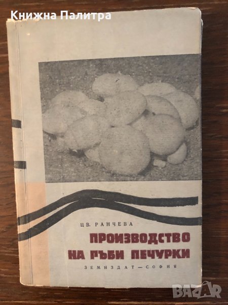 Производство на гъби печурки Цв. Рачева, снимка 1