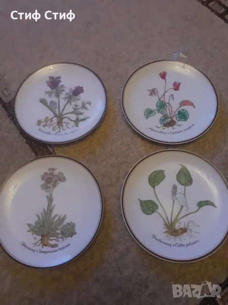  Ботаника Rose collection, снимка 1