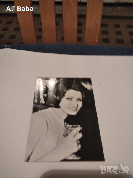 Картичка/снимка италианскта актриса София Лорен, снимка 1