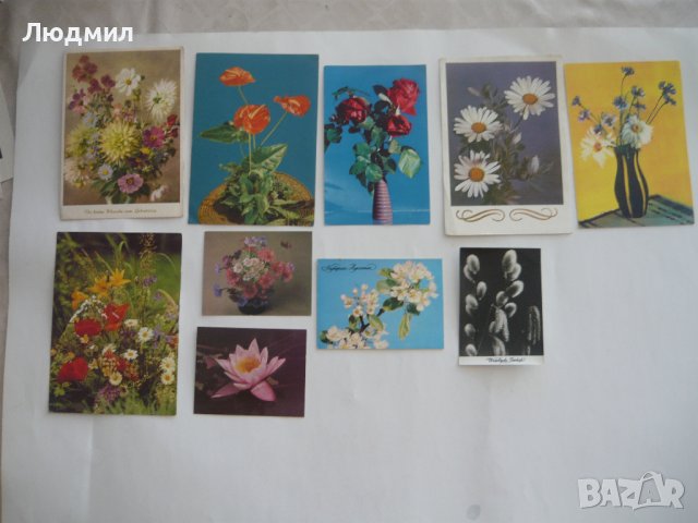 Пощенски картички с цветя и животни., снимка 5 - Колекции - 43512265
