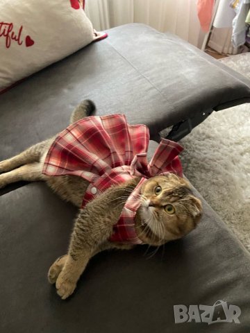 Рокля за куче с повод. Нагръник за куче. Нагръдник с повод. Нагръдник за малко куче. Дрехи за кучета, снимка 11 - За кучета - 38383966