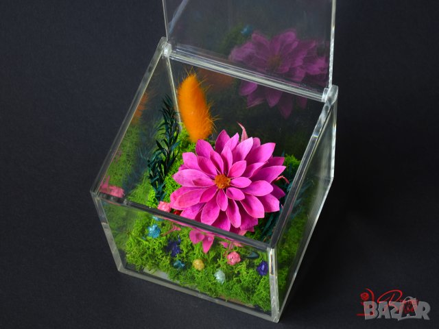 Вечни Цветя в Акрилна Кутия / Стилен Подарък за Рожден Ден на Жена / Естествена Вечна Далия в Кутия, снимка 6 - Подаръци за жени - 43749243