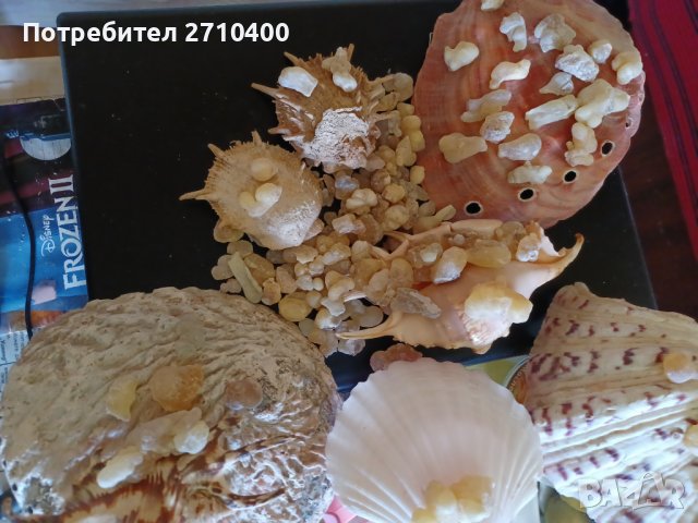 Тамян.Фаворитът.От Оман.Босвелия сакра.Арабски тамян Ходжари От Дофар, снимка 4 - Други - 37083493