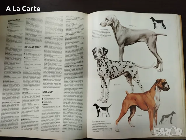 Енциклопедия Кинология, Породи кучета , снимка 8 - Специализирана литература - 49730485