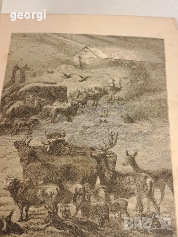 Стара библия с твърди корици на английски език   2/5, снимка 6 - Антикварни и старинни предмети - 47732849