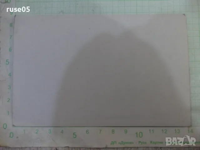 Снимка стара на излет сред природата - 5, снимка 2 - Колекции - 47905389