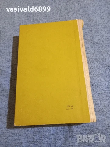 Дайсън Картър - Синове без бащи, снимка 4 - Художествена литература - 50914417