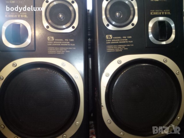 Clatronic PS185 двулентови тонколони, снимка 2 - Тонколони - 20096439