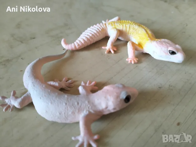 Реалистични играчки , снимка 3 - Фигурки - 50346820