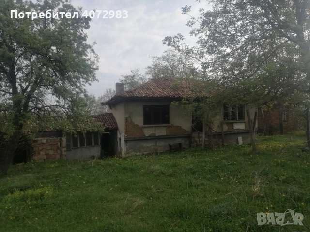 Нова цена-  c Kьосевци