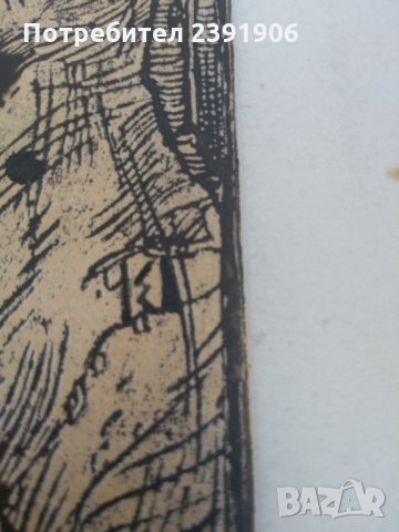 Сирак Скитник със сертификат, снимка 4 - Картини - 28404829