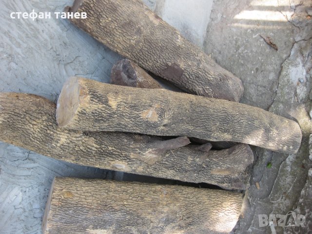 Чемшир - дървен материал за украсна резба, снимка 9 - Антикварни и старинни предмети - 18621658