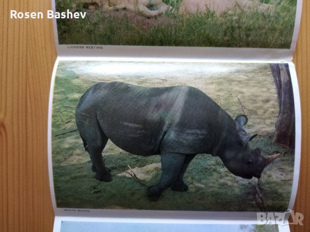  Картичка. Плик.Албум., снимка 4 - Филателия - 28657507