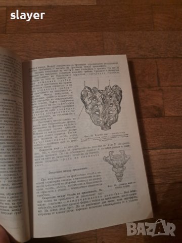 Анатомия на човека, снимка 4 - Специализирана литература - 43749418
