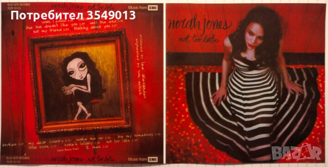 Неофициални cd / цд компакт дискове - нови - Norah Jones № 2, снимка 11 - CD дискове - 53597958