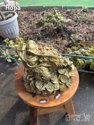 Трикрака жаба с паричка в устата, снимка 10 - Декорация за дома - 53408502