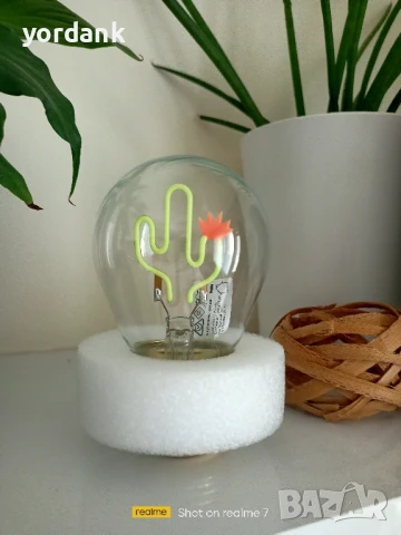 Bulb fiction Cactus лед филаментна акумулаторна крушка кактус, снимка 3 - Декорация за дома - 51192698