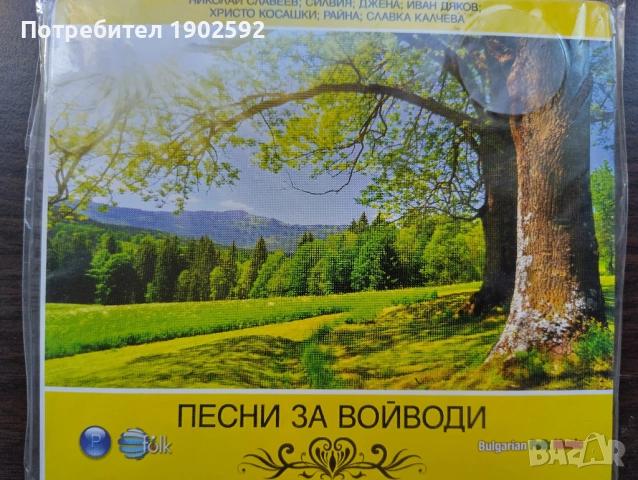 Песни за войводи