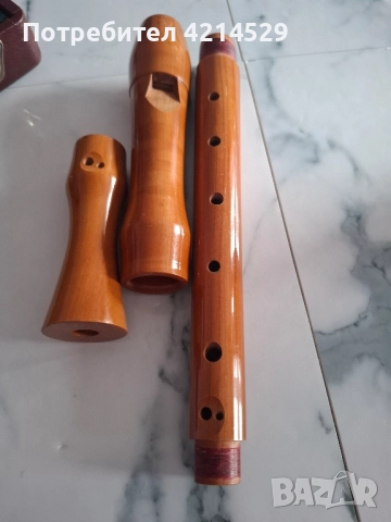 Блок флейта, снимка 3 - Духови инструменти - 52024115