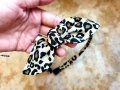 Диадема с леопардов принт Диадема с възел панделка Аксесоари за коса Диадеми Ръчна Изработка , снимка 3