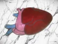 Килим сърце-килим под формата на анатомично сърце, снимка 2