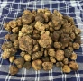 Трюфел(Tuber Borchi) 12 euro, снимка 5