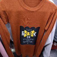 блузи , снимка 1 - Блузи с дълъг ръкав и пуловери - 43430115