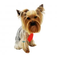 Вратовръзка за куче Официален костюм за куче Кучешки вратовръзки Кучешка вратовръзка/папийонка, снимка 8 - За кучета - 19909213