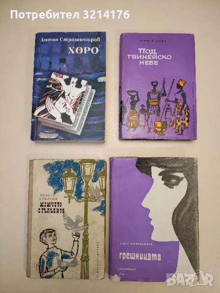 Под гвинейско небе - Теню Казака, снимка 1