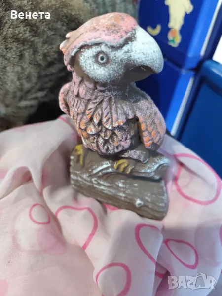 Папагал, снимка 1