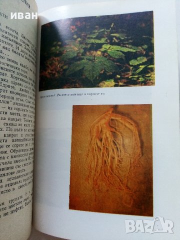 Христоматия по Биология - Ботаника том2 - 1985г., снимка 4 - Други - 38038328