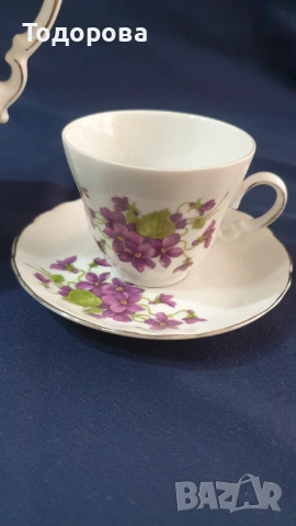 Порцеланов сет теменужки - Бавария, снимка 4 - Сервизи - 53061555