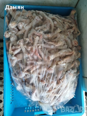 Месо за Домашни любимчи, снимка 8 - За кучета - 53465059