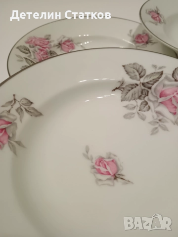 6 бр. порцеланови чинии 23 см. с флорален декор и сребрист кант, снимка 8 - Сервизи - 52239578