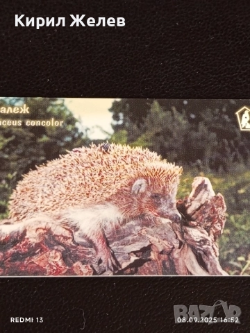 Три фонокарти тема ЖИВОТНИ ТАРАЛЕЖ,РИС,ПРИЛЕП МАЛЪК ПОДКОВОНОС 42406, снимка 4 - Колекции - 51643959