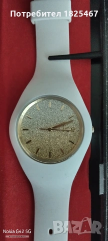ICE WATCH 