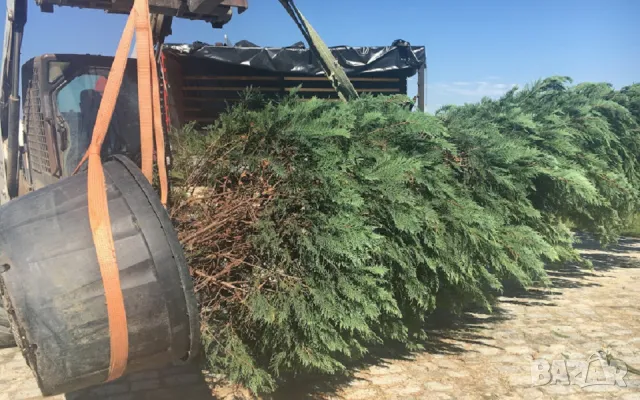 Транспорт 20 куб. обемисти товари. Услуги транспортни с камион с допълнително направени високи канат, снимка 5 - Транспортни услуги - 49969622