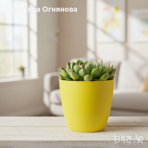 Саксия с поливна система Ø18×H16 см - за здрава коренова система, снимка 7 - Други стоки за дома - 53517146