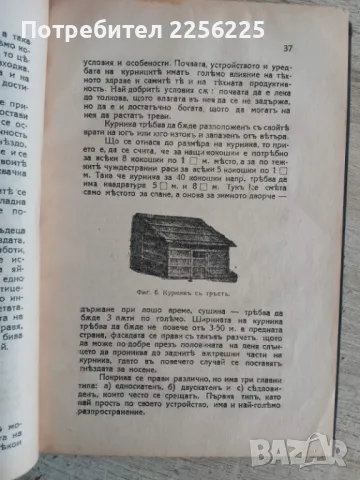 Съвременно птицевъдство , снимка 4 - Специализирана литература - 47725984
