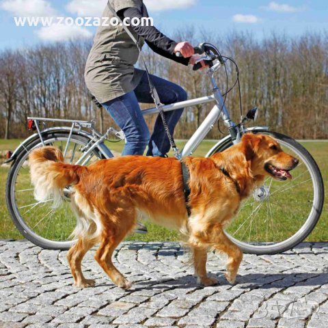 Повод за тичане и колело 100-200 см. / 25 мм. - Модел: 1282, снимка 2 - За кучета - 37241874